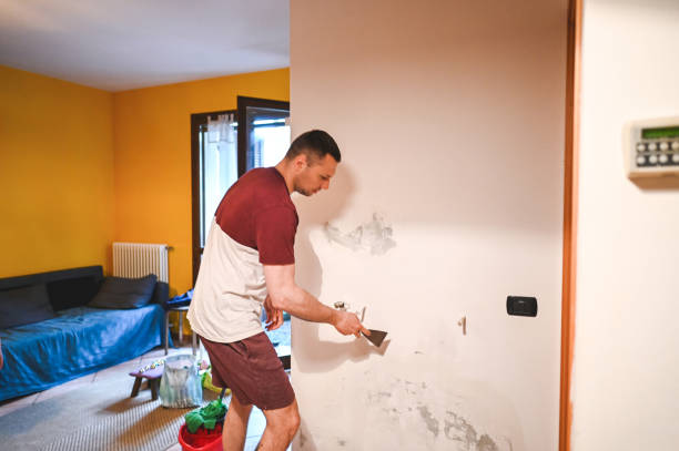 Professional Mold Removal in Cortland, NY