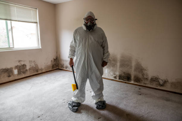 Best Residential Mold Removal  in Cortland, NY